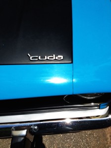 'cuda